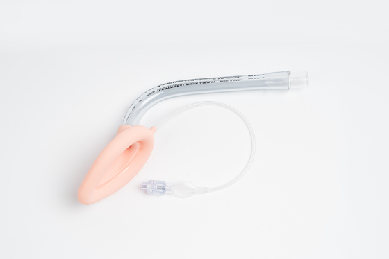 Harga yang bagus PVC&Silikon Ukuran 3.0 Laryngeal Mask Airway Untuk Intubating Kualitas Tinggi on line